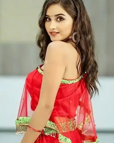 Call Girls Service Robertsonpet